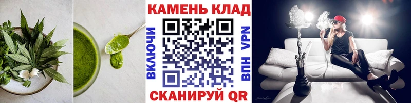 Купить  Шилка  Canna-Cookies конопля 