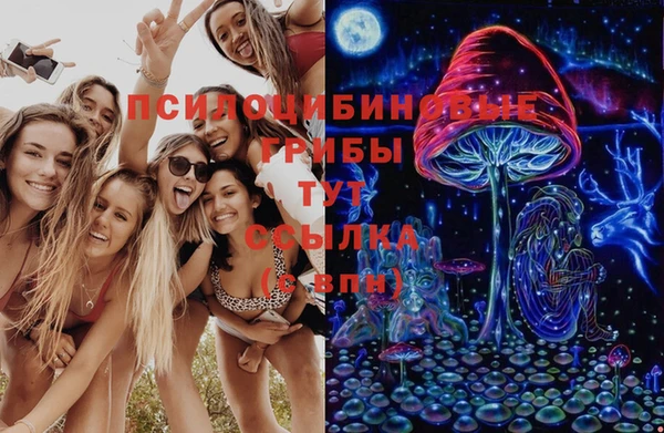 не бодяженный Богданович