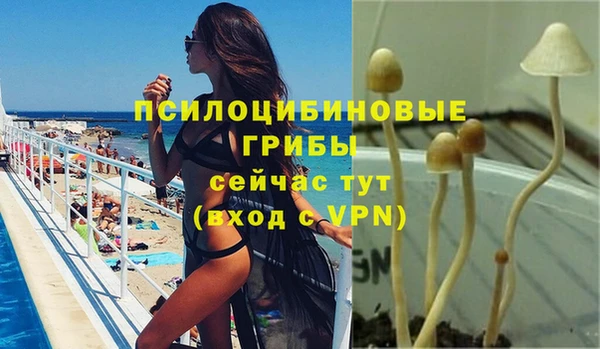 прущий лед Богородицк