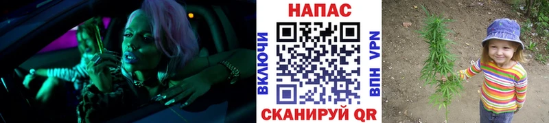 Марихуана MAZAR  Купить  Шилка 